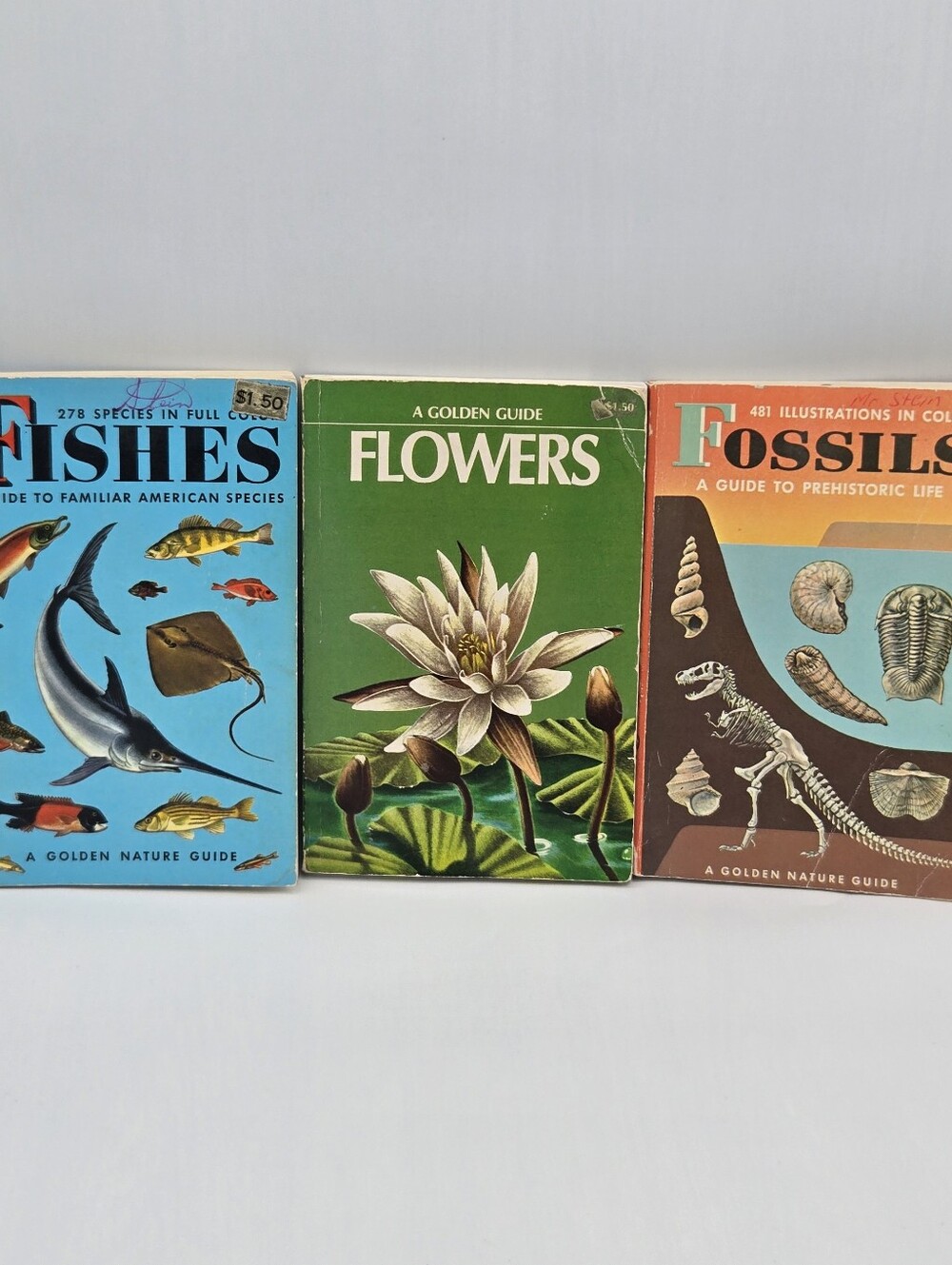 Lot of 3 VTG Golden Guide Nature Books Pocket Guides Fishes Flowers Fossils
